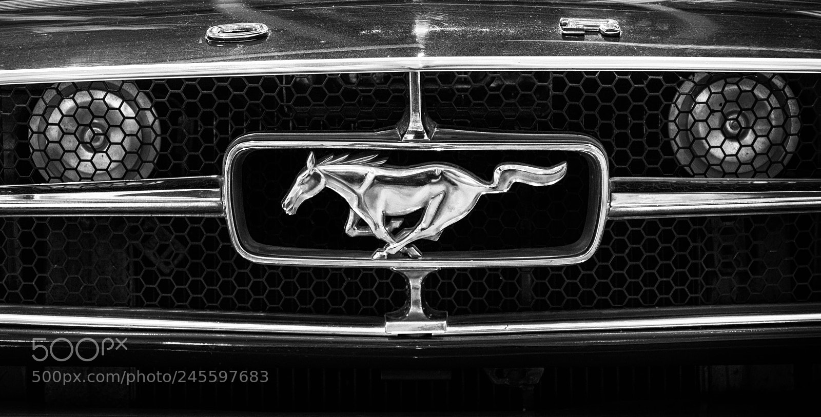Nikon D7100 sample photo. Mustang old b w photography