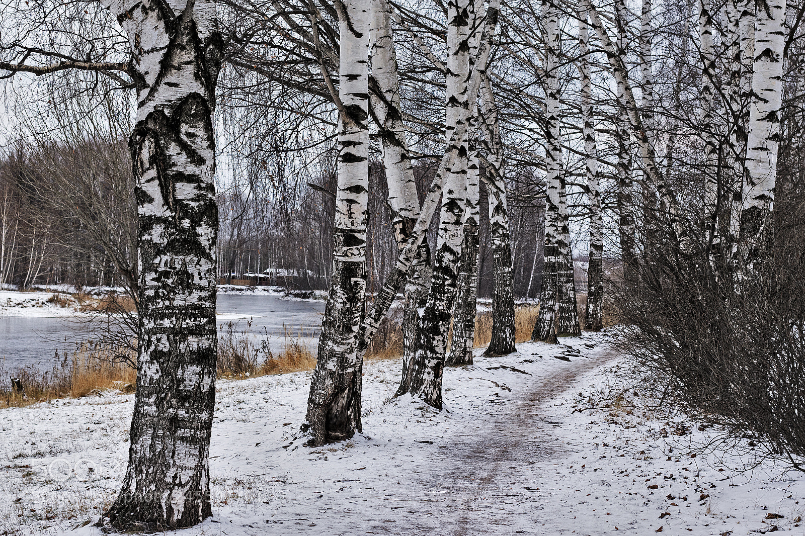 Canon EOS 700D (EOS Rebel T5i / EOS Kiss X7i) sample photo. Beginning of winter photography
