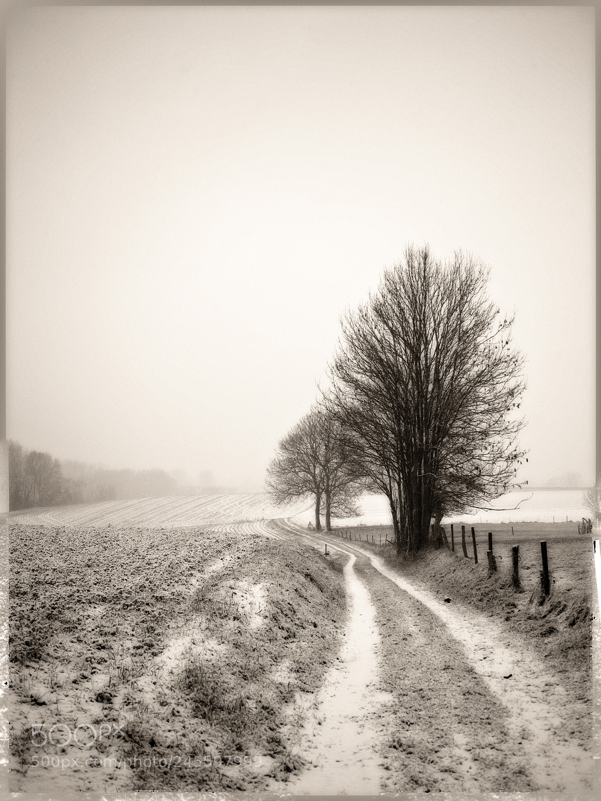 Panasonic Lumix DMC-GF1 sample photo. Pajottenland serie photography