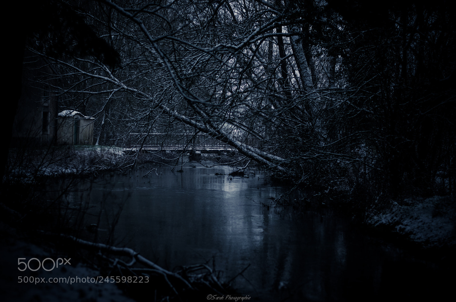 Nikon D5100 sample photo. In the dark photography