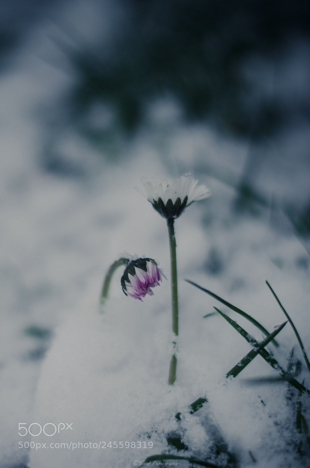 Nikon D5100 sample photo. Un jour on a photography