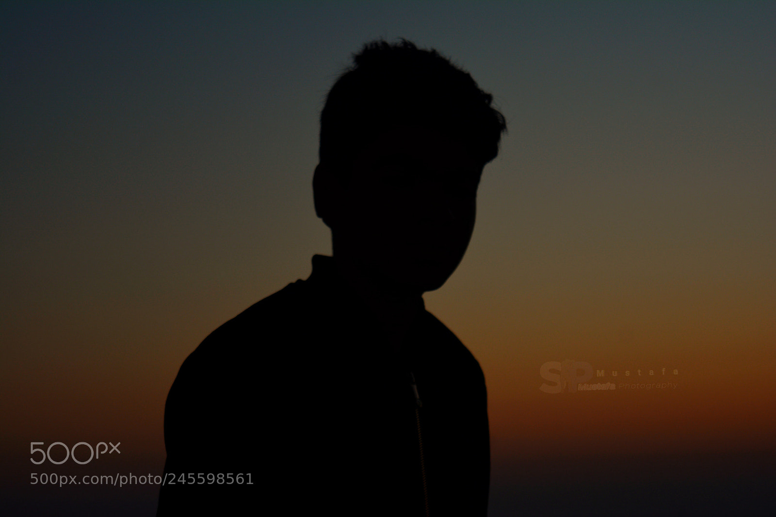 Nikon D5200 sample photo. Untitled photography