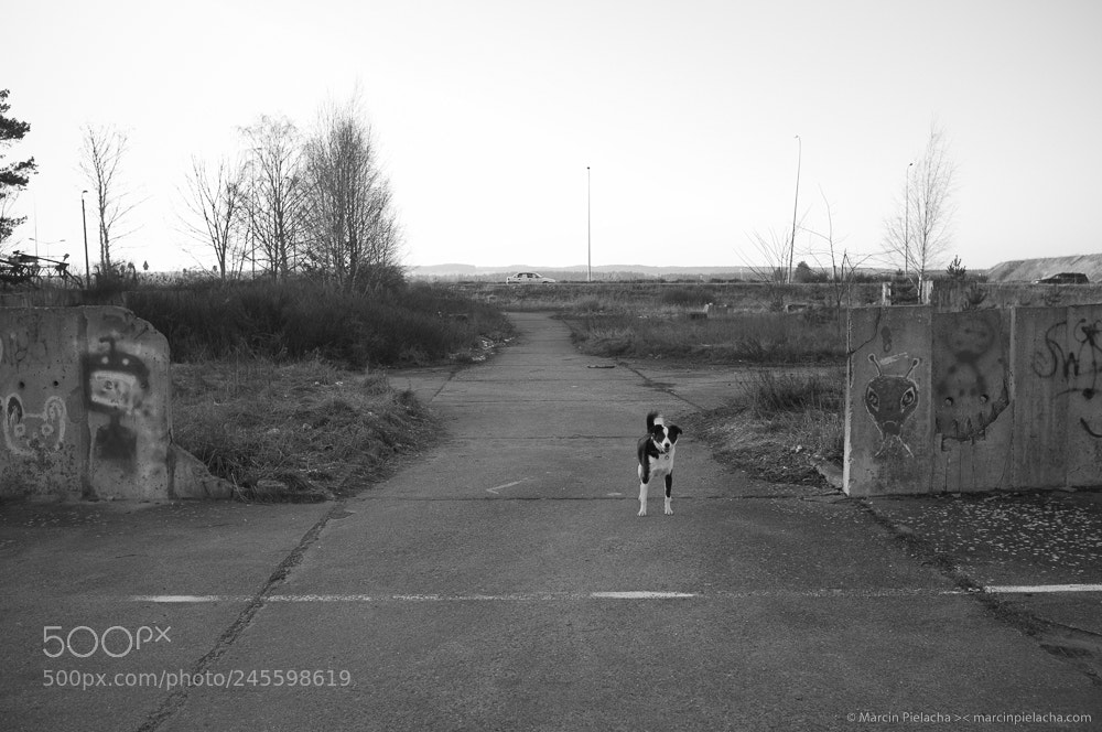 Fujifilm FinePix X100 sample photo. ... photography