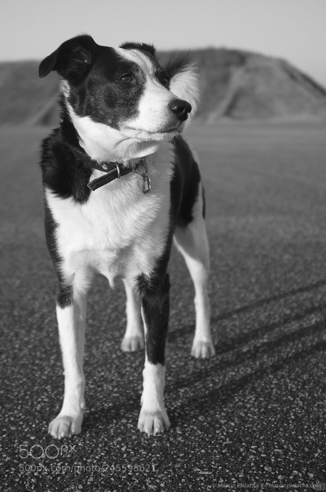 Fujifilm FinePix X100 sample photo. ... photography