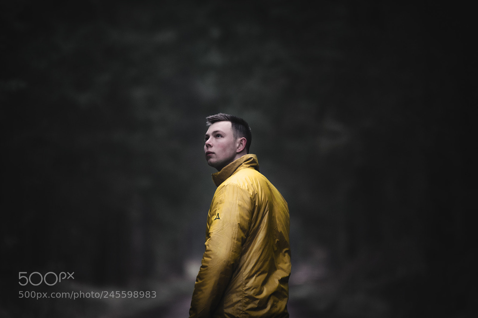 Nikon D5500 sample photo. Moody portrait photography