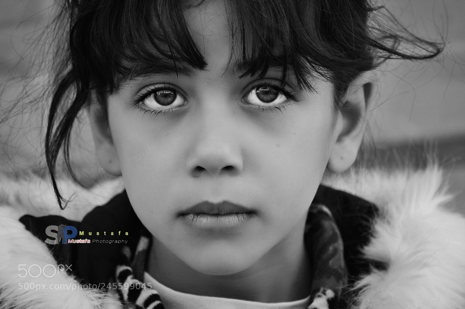 Nikon D5200 sample photo. I hope you will photography