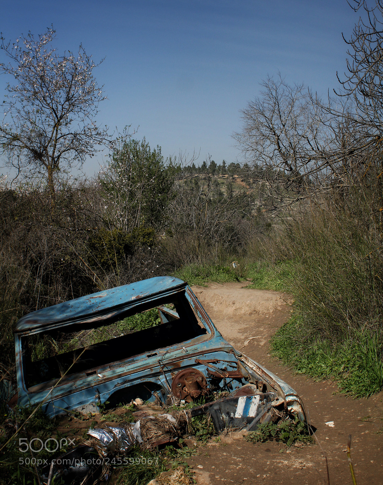 Canon EOS 60D sample photo. Untitled photography