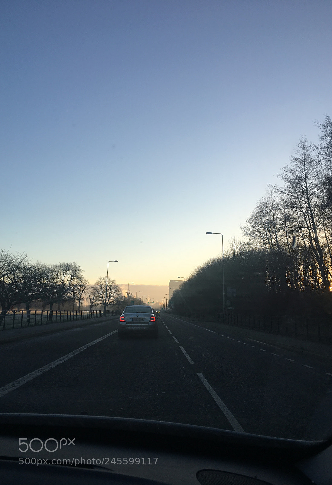 Apple iPhone 6s sample photo. Foggy dew photography