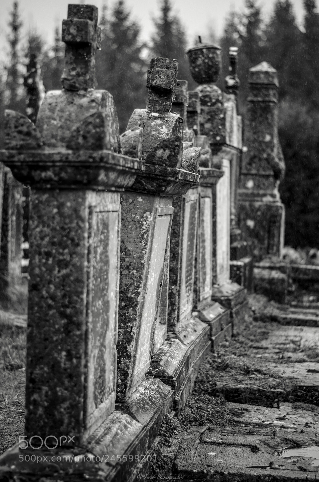 Nikon D5100 sample photo. De ses ternit s photography