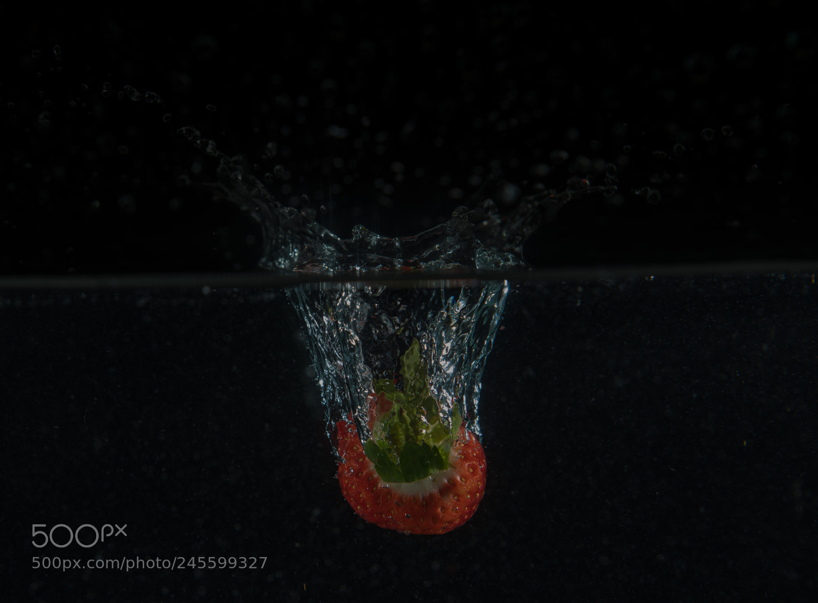 Nikon D850 sample photo. Strawberry photography