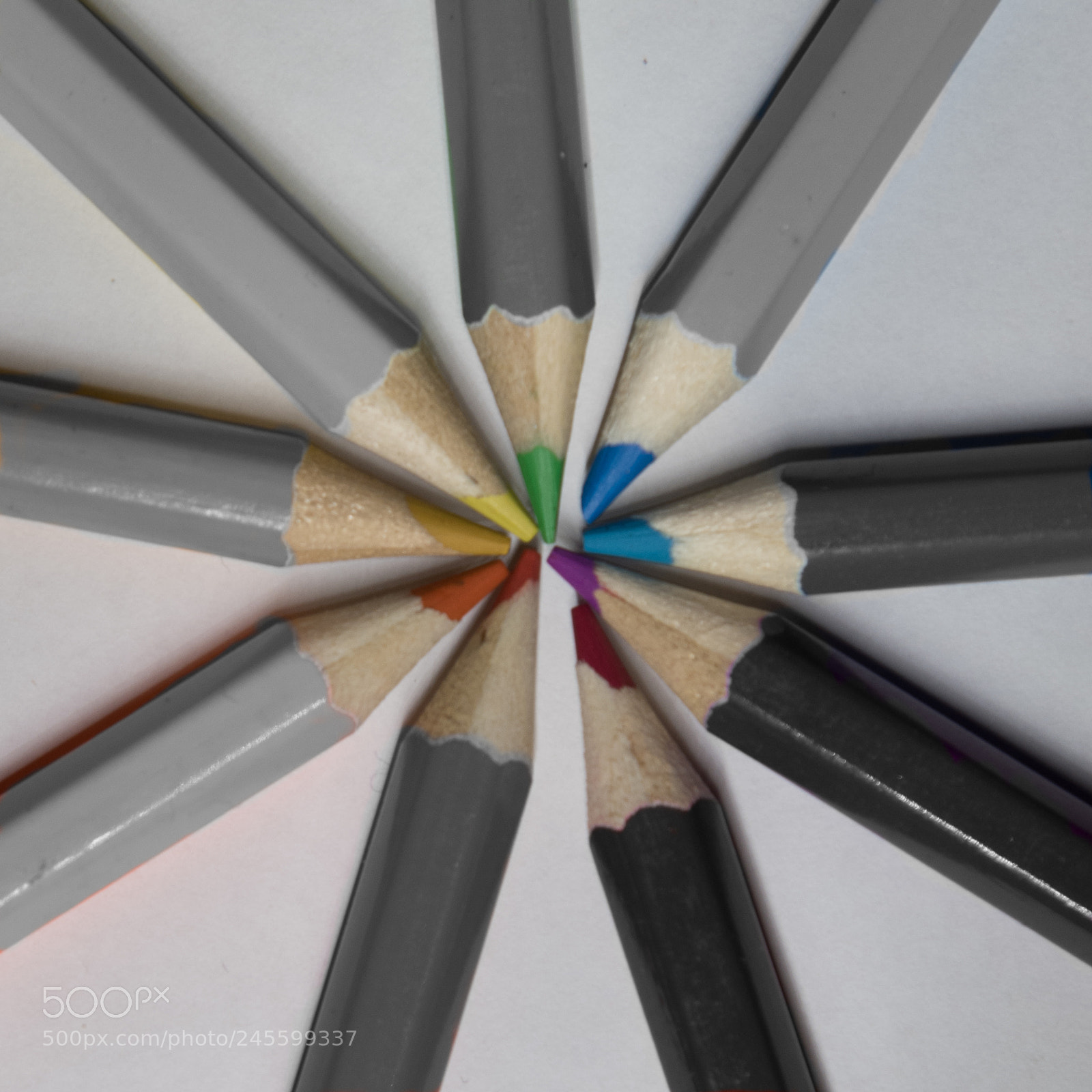 Nikon D850 sample photo. Pencils photography