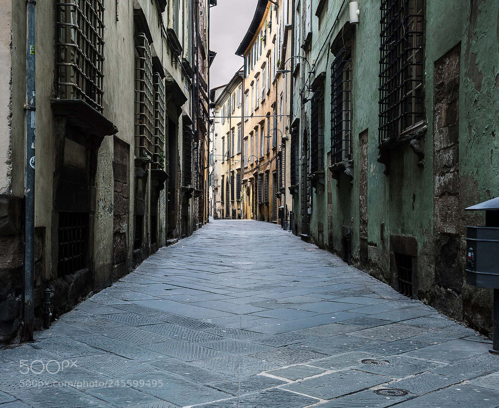 Nikon D3200 sample photo. Path. lucca, tuscany, italy. photography