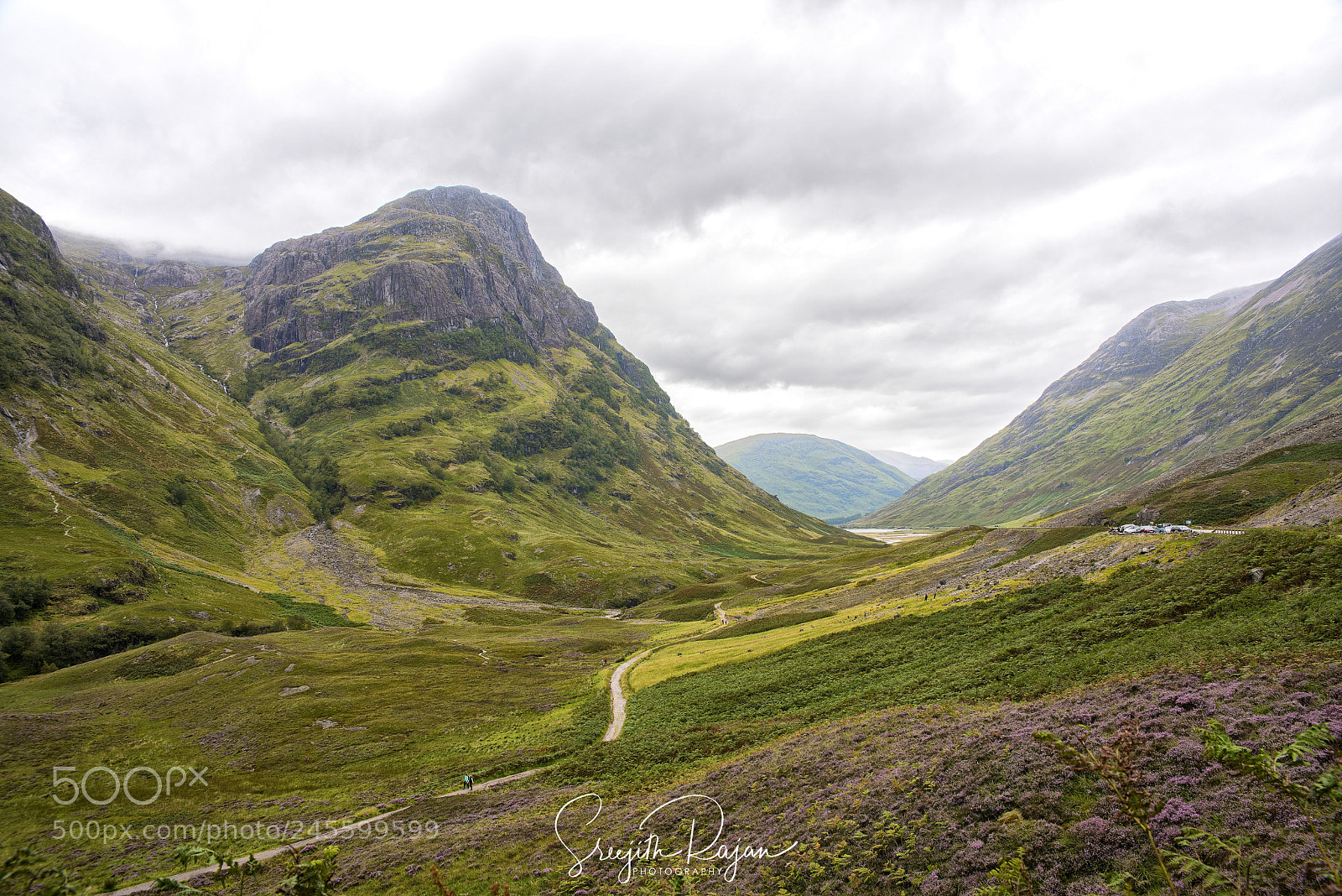 Nikon D810 sample photo. The endless green mountains photography