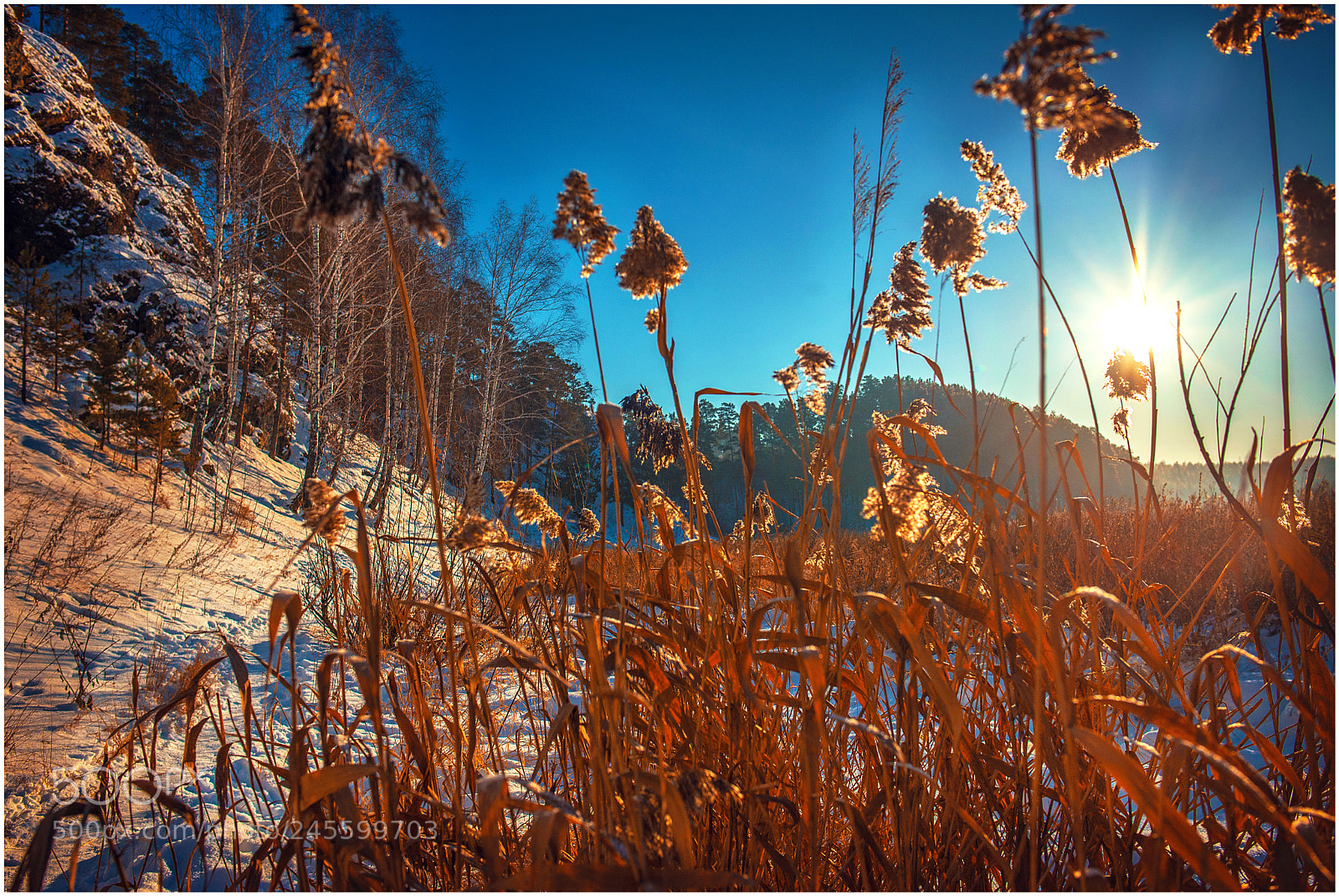 Nikon D610 sample photo. *** photography