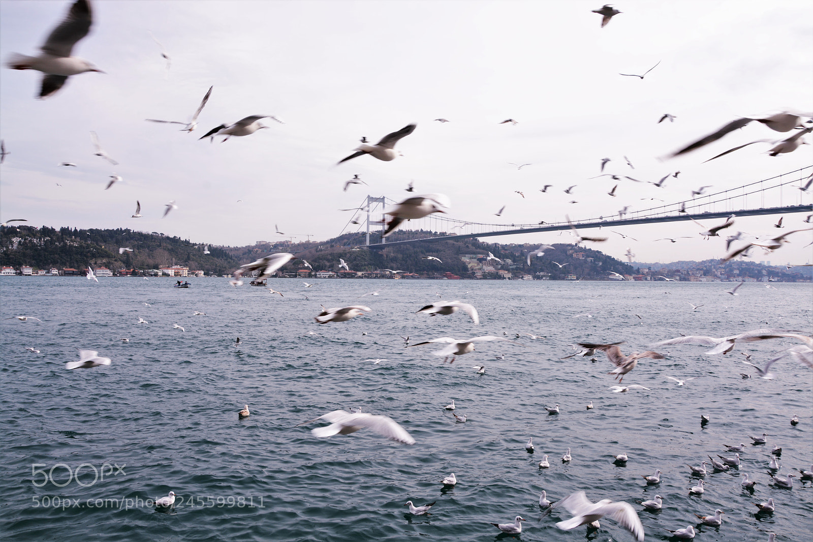 Nikon D7100 sample photo. Bo az ve mart photography