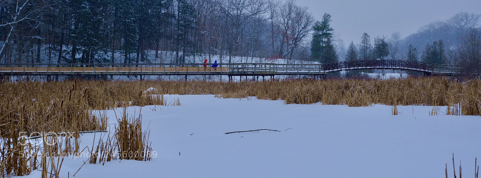 Fujifilm GFX 50S sample photo. Winter of grindstone creek photography