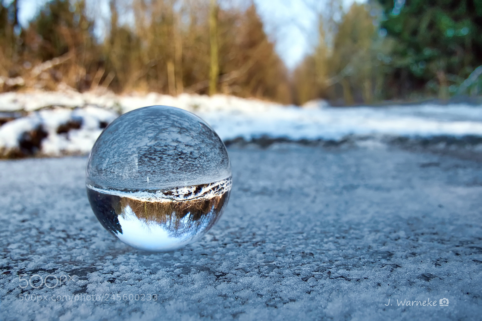Olympus OM-D E-M10 II sample photo. Frosty day photography
