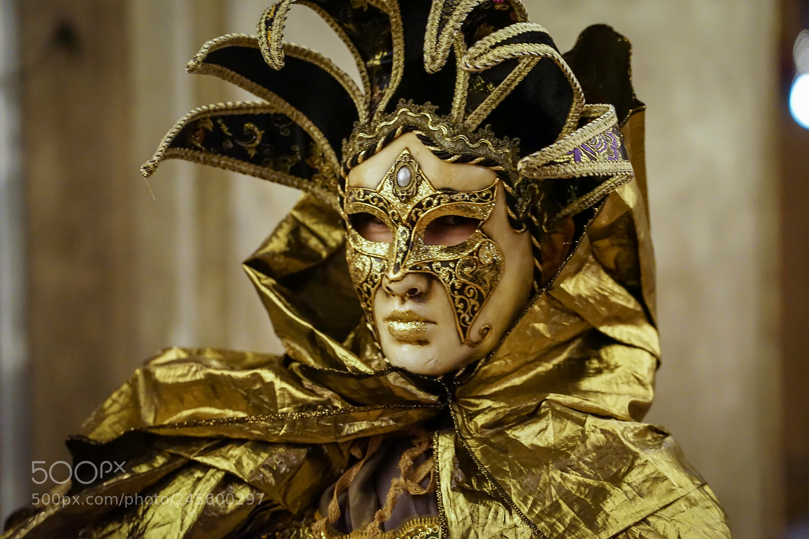 Sony a7 II sample photo. Maschera veneta photography