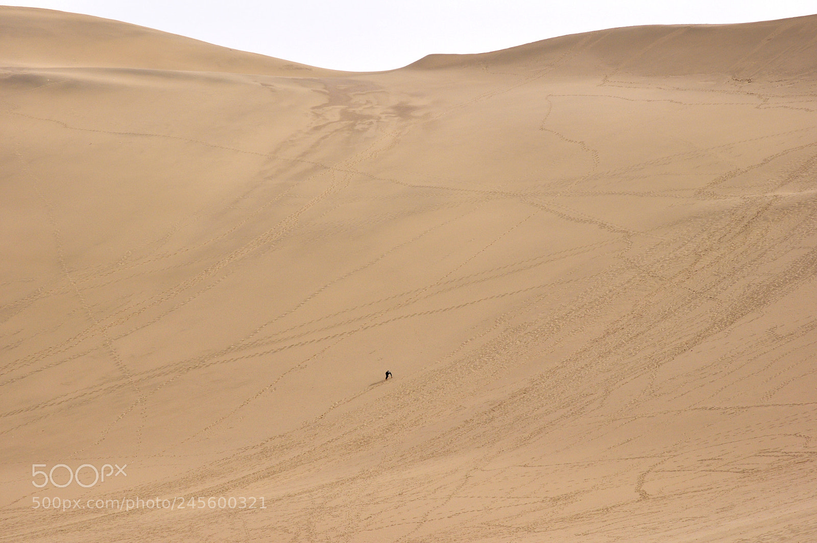 Nikon D90 sample photo. The lonely climber photography