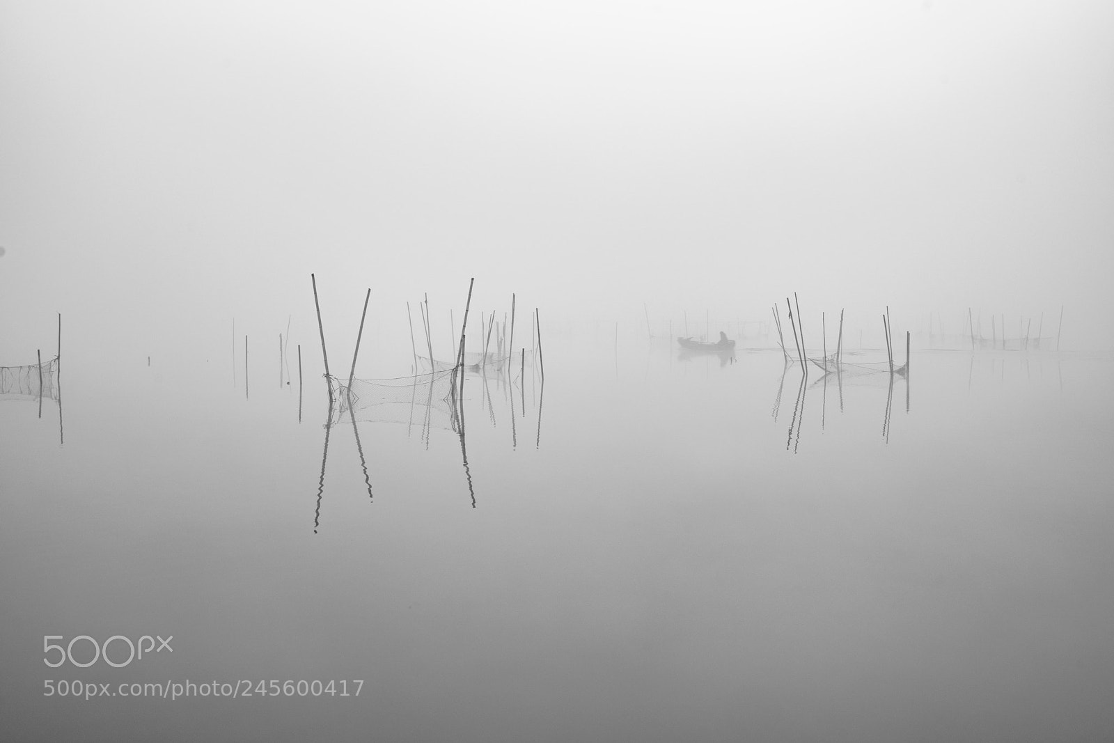 Sony a99 II sample photo. A misty morning 3 photography