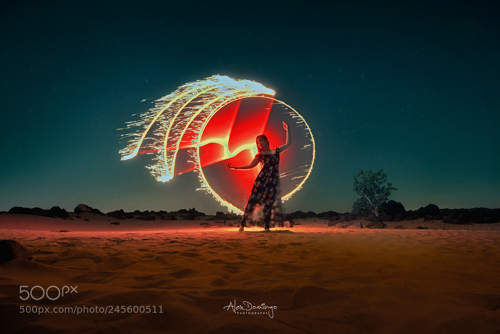 Nikon D600 sample photo. Alxd red tubelights photography