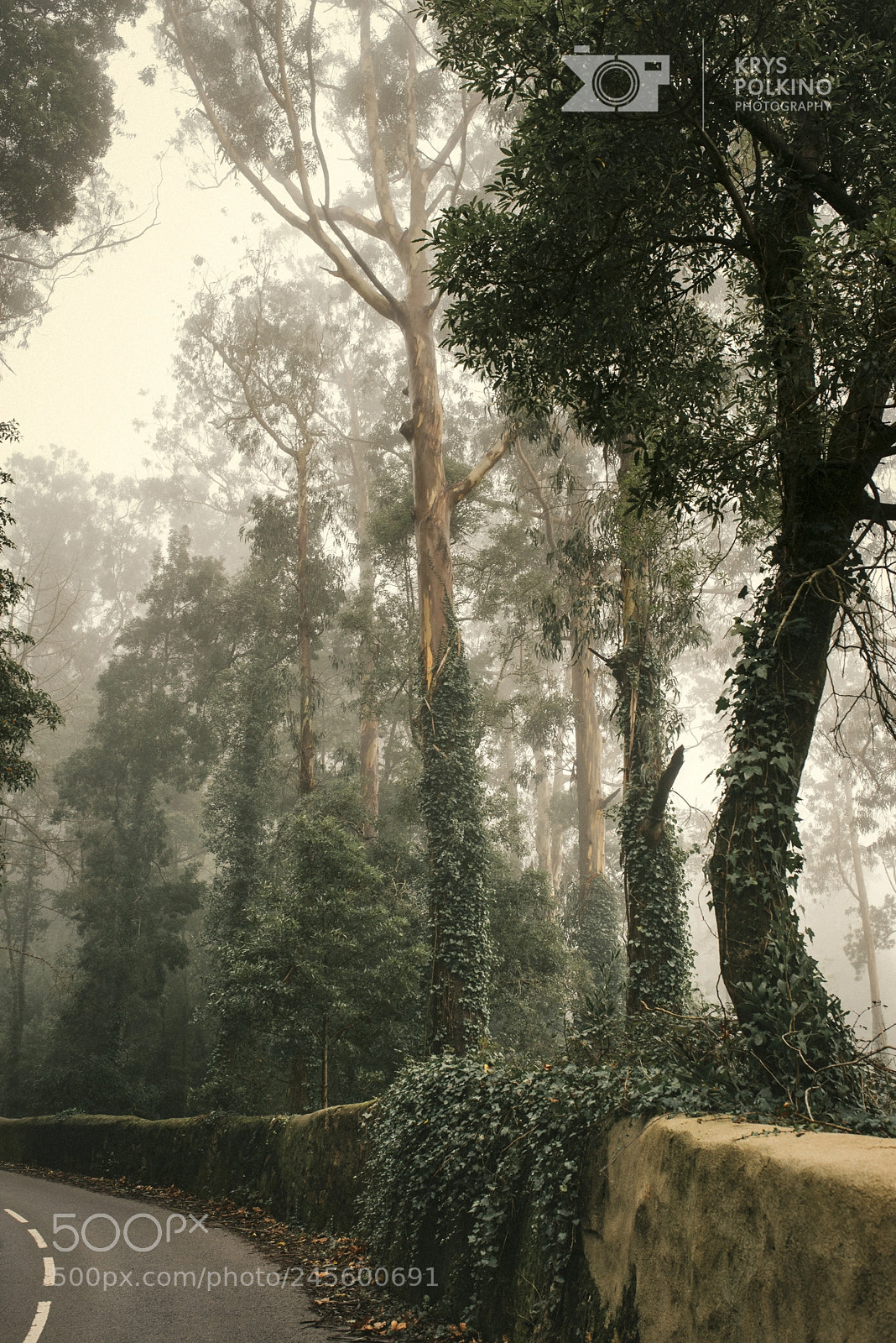 Nikon D610 sample photo. Sintra - i seriously photography