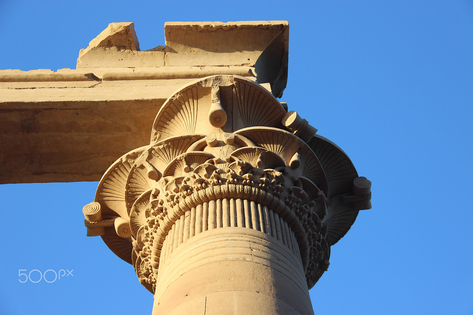 Canon EF-S 18-200mm F3.5-5.6 IS sample photo. Philae lotus column photography