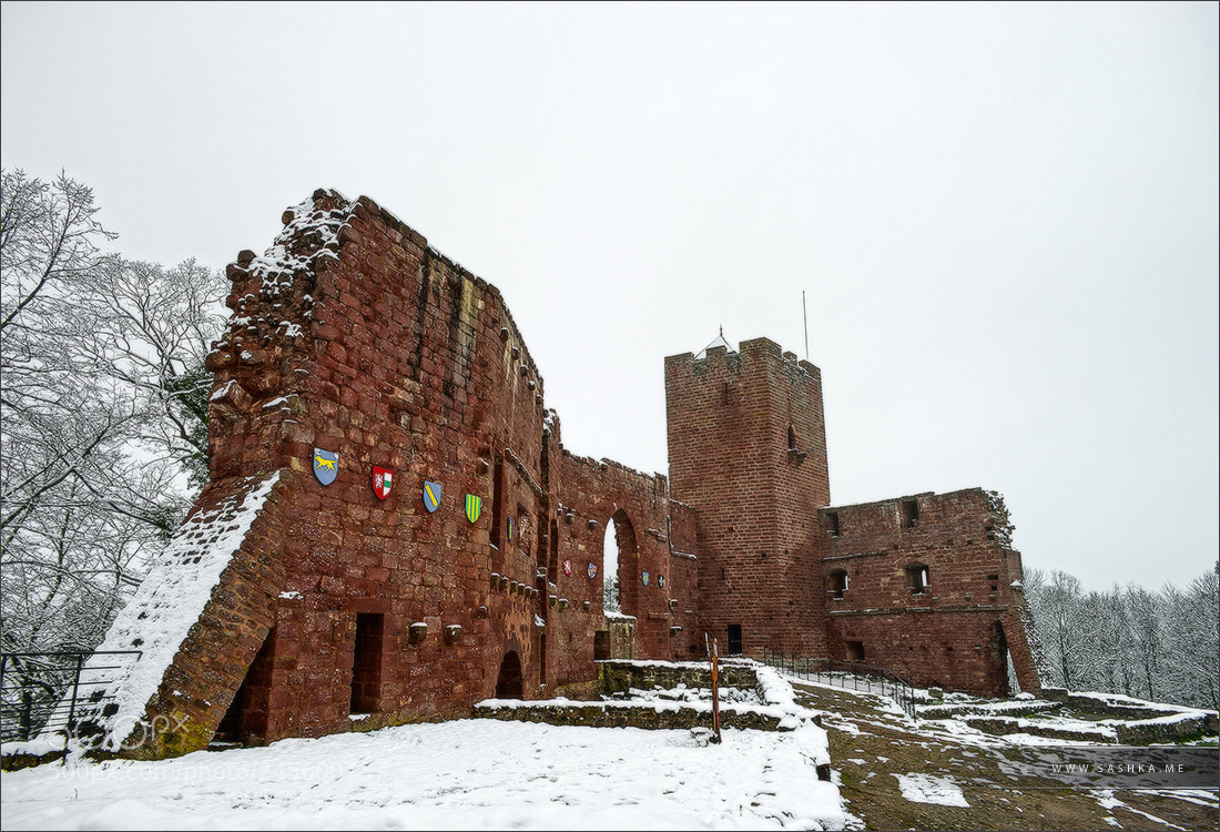 Sony a99 II sample photo. Medieval ruins of wangenbourg photography