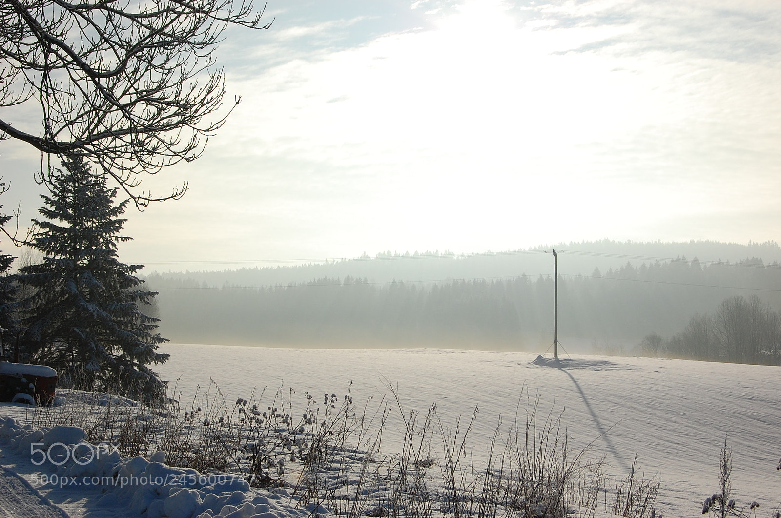 Nikon D40 sample photo. Untitled photography
