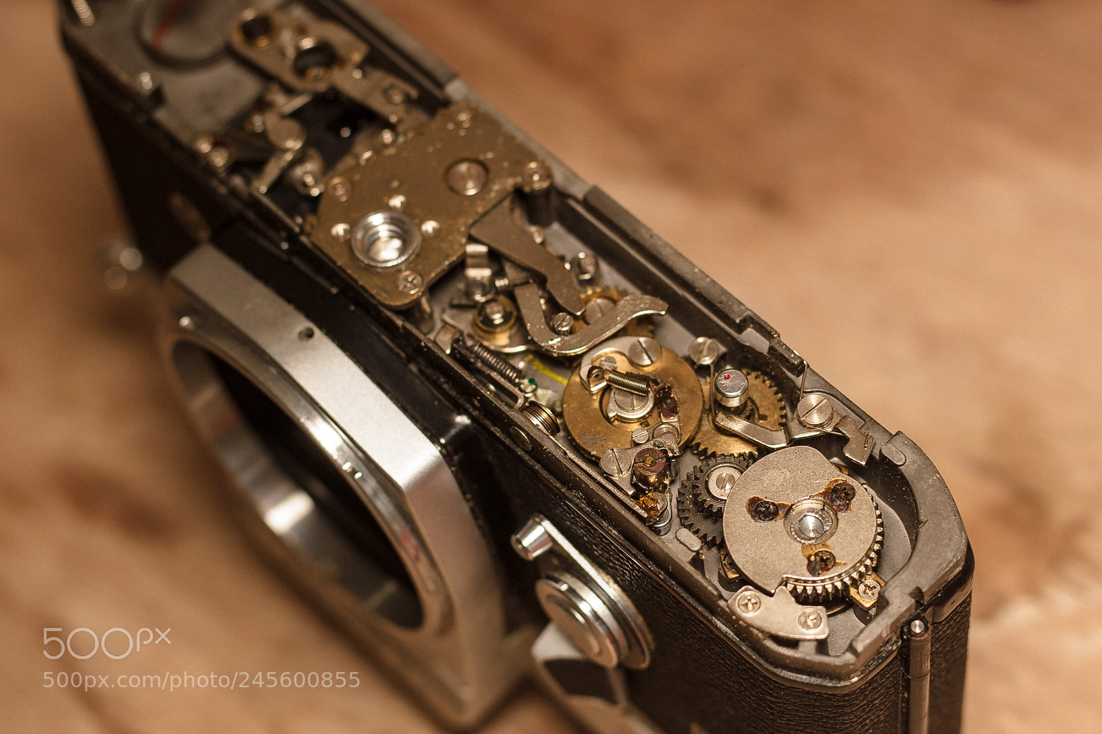 Canon EOS 550D (EOS Rebel T2i / EOS Kiss X4) sample photo. Gears photography