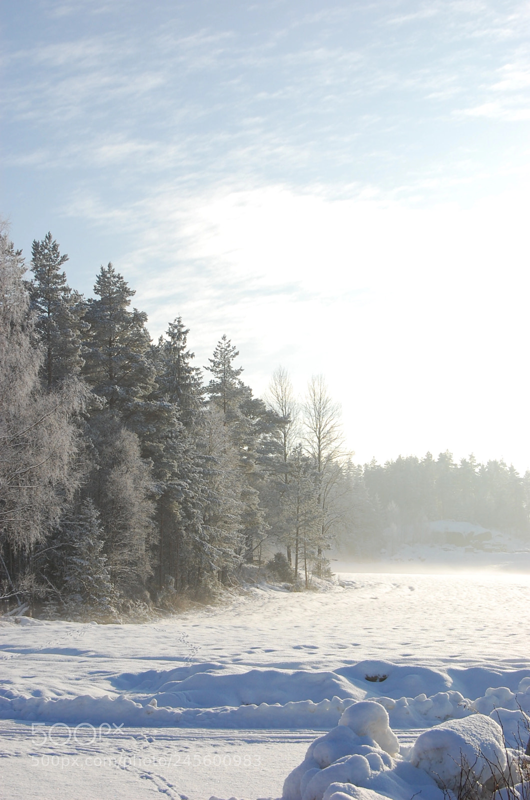 Nikon D40 sample photo. Mist photography
