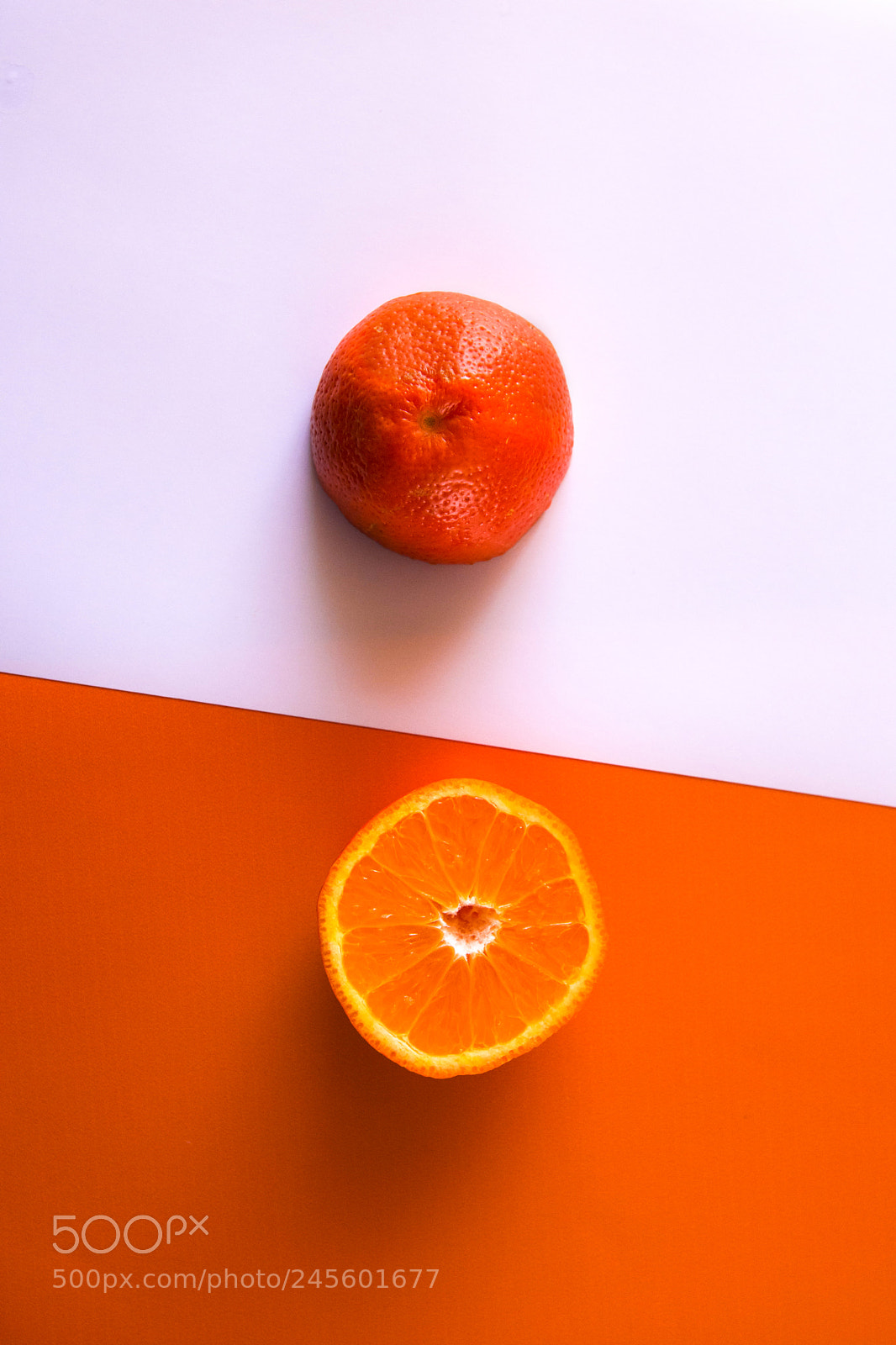 Nikon D7200 sample photo. Orange photography