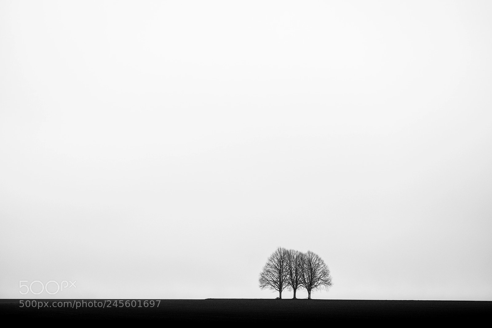 Fujifilm X-T1 sample photo. Three trees. two colours. photography