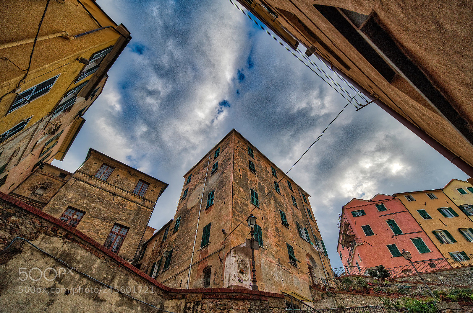 Nikon D850 sample photo. Parasio from below. photography