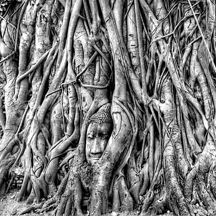 Fujifilm X-Pro2 sample photo. Ayutthaya photography
