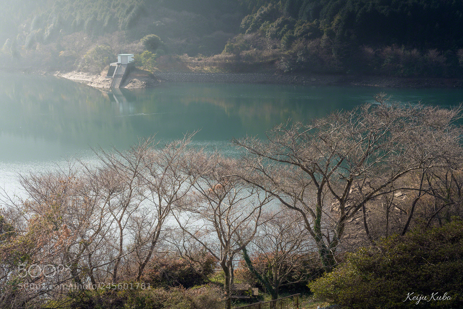 Sony a7R III sample photo. Reservoir and trees photography