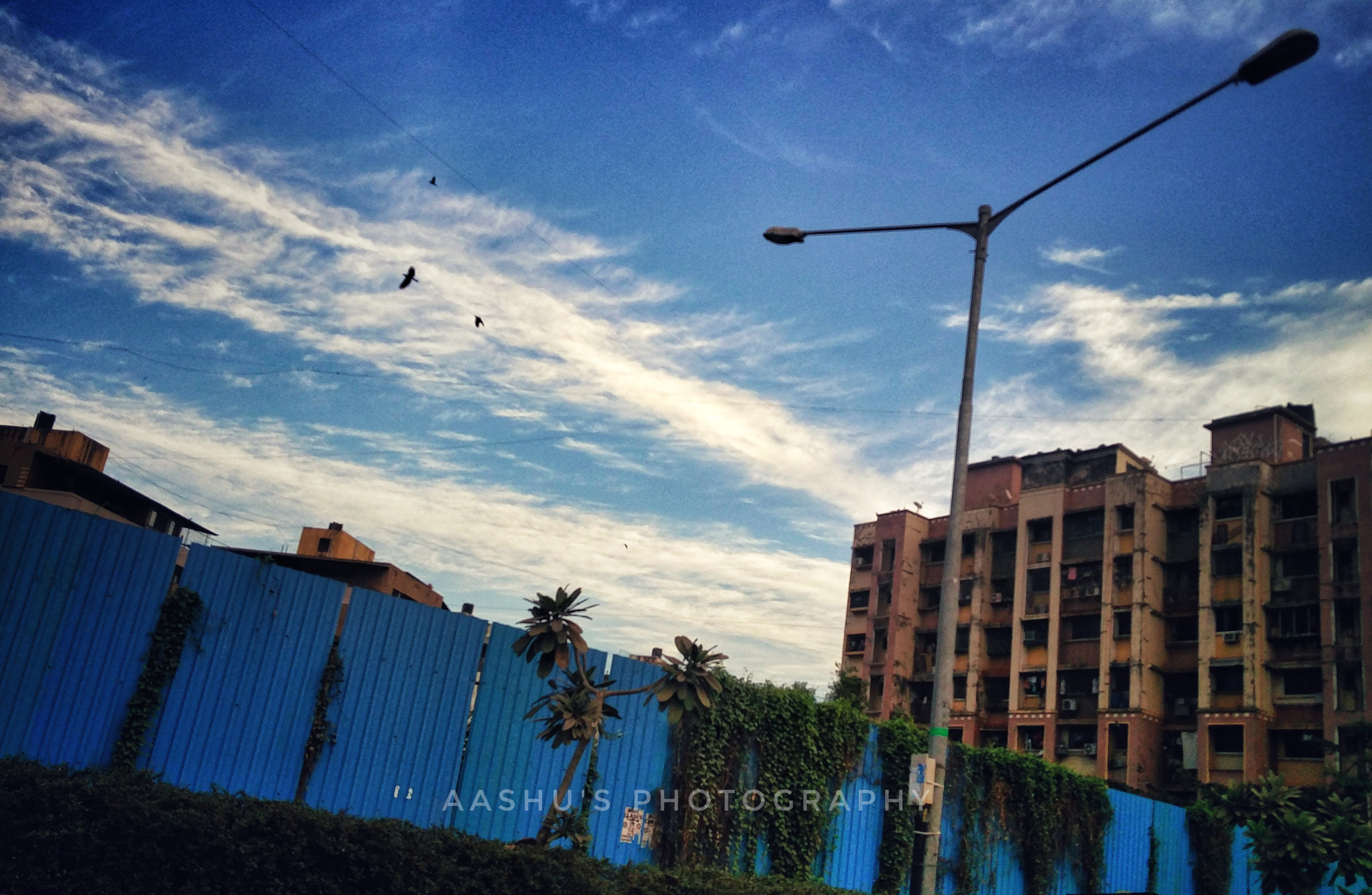OnePlus 2 sample photo