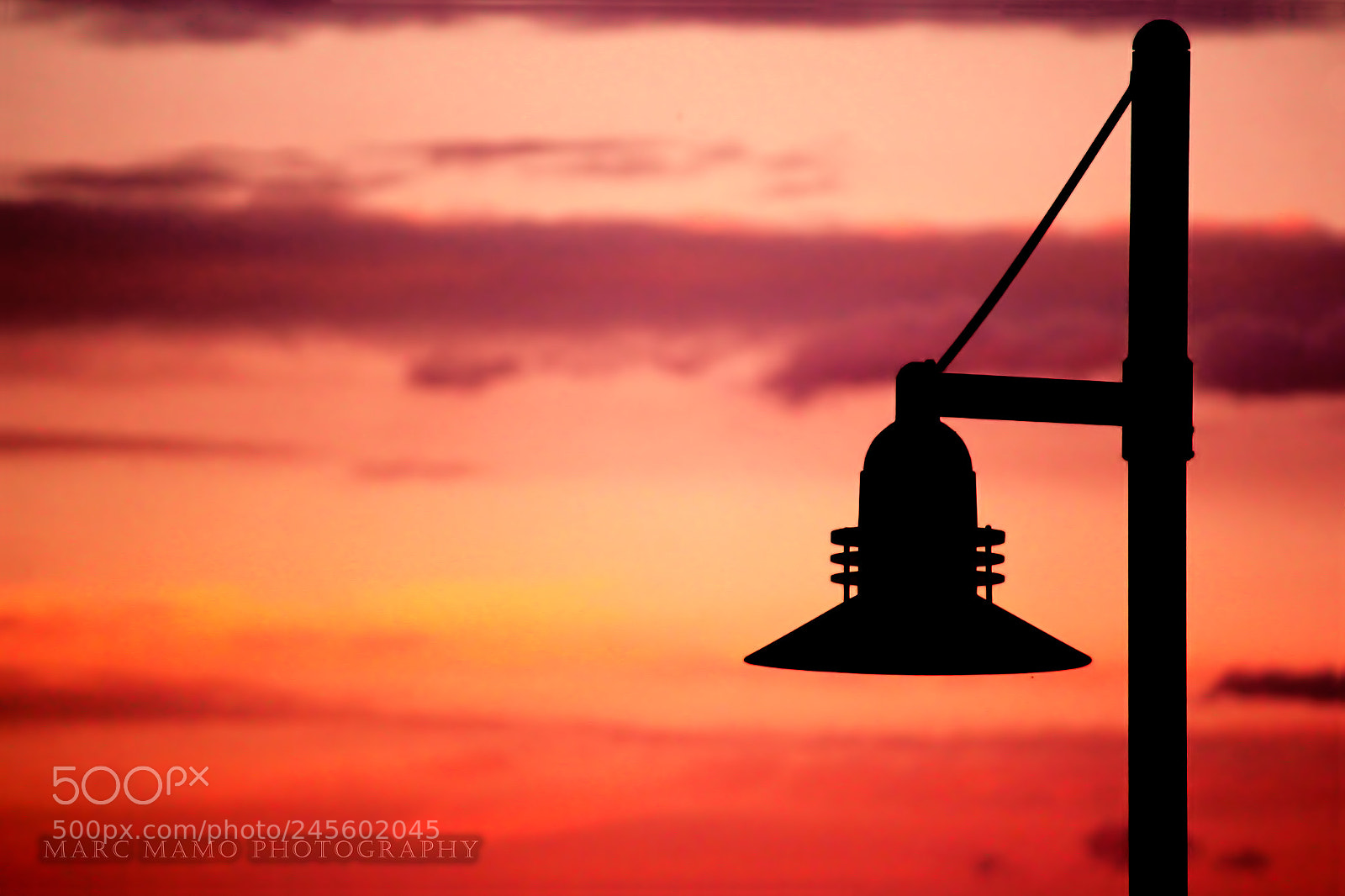 Canon EOS 550D (EOS Rebel T2i / EOS Kiss X4) sample photo. Lamp at dusk photography