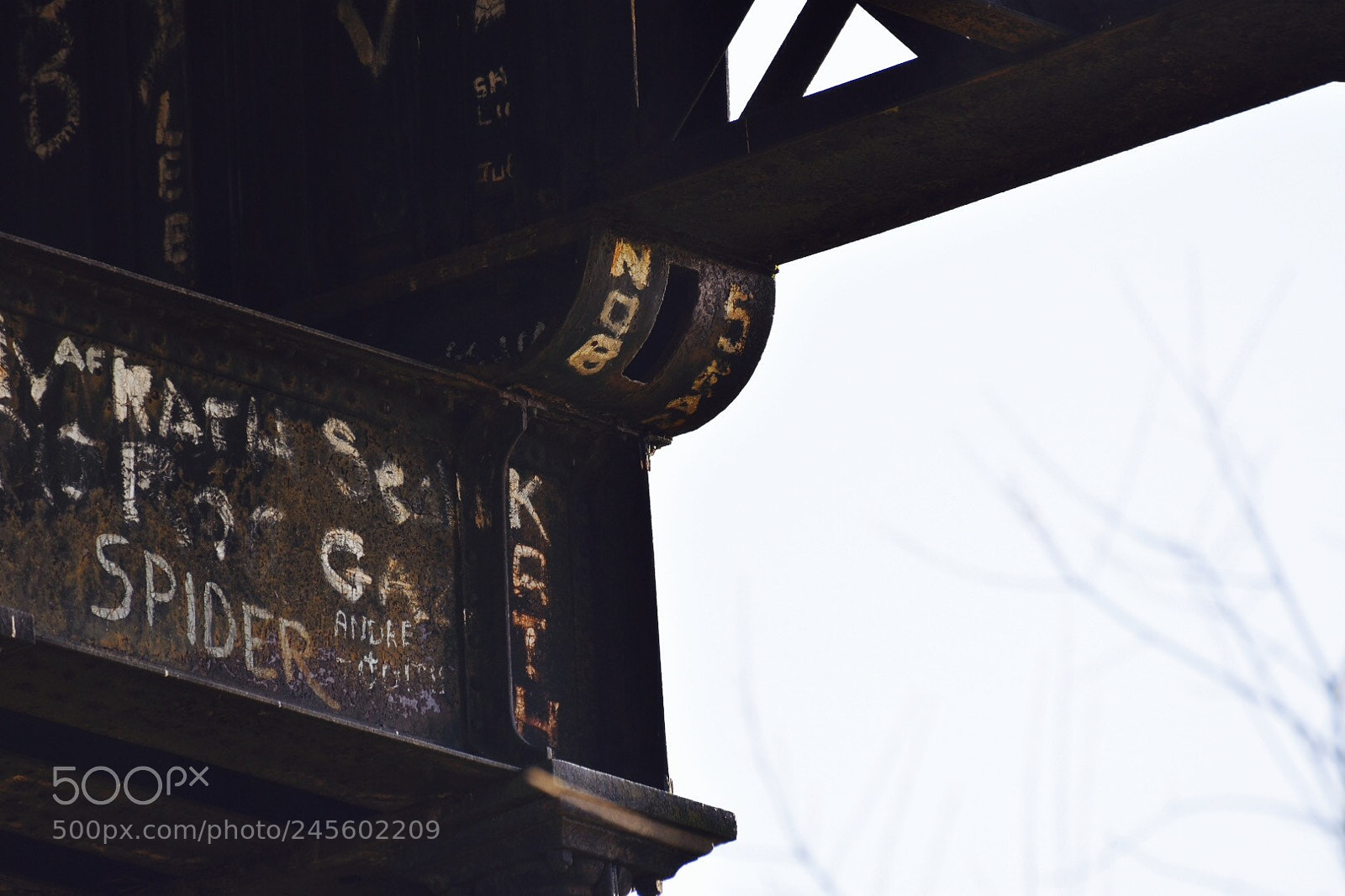 Nikon D3400 sample photo. Image photography