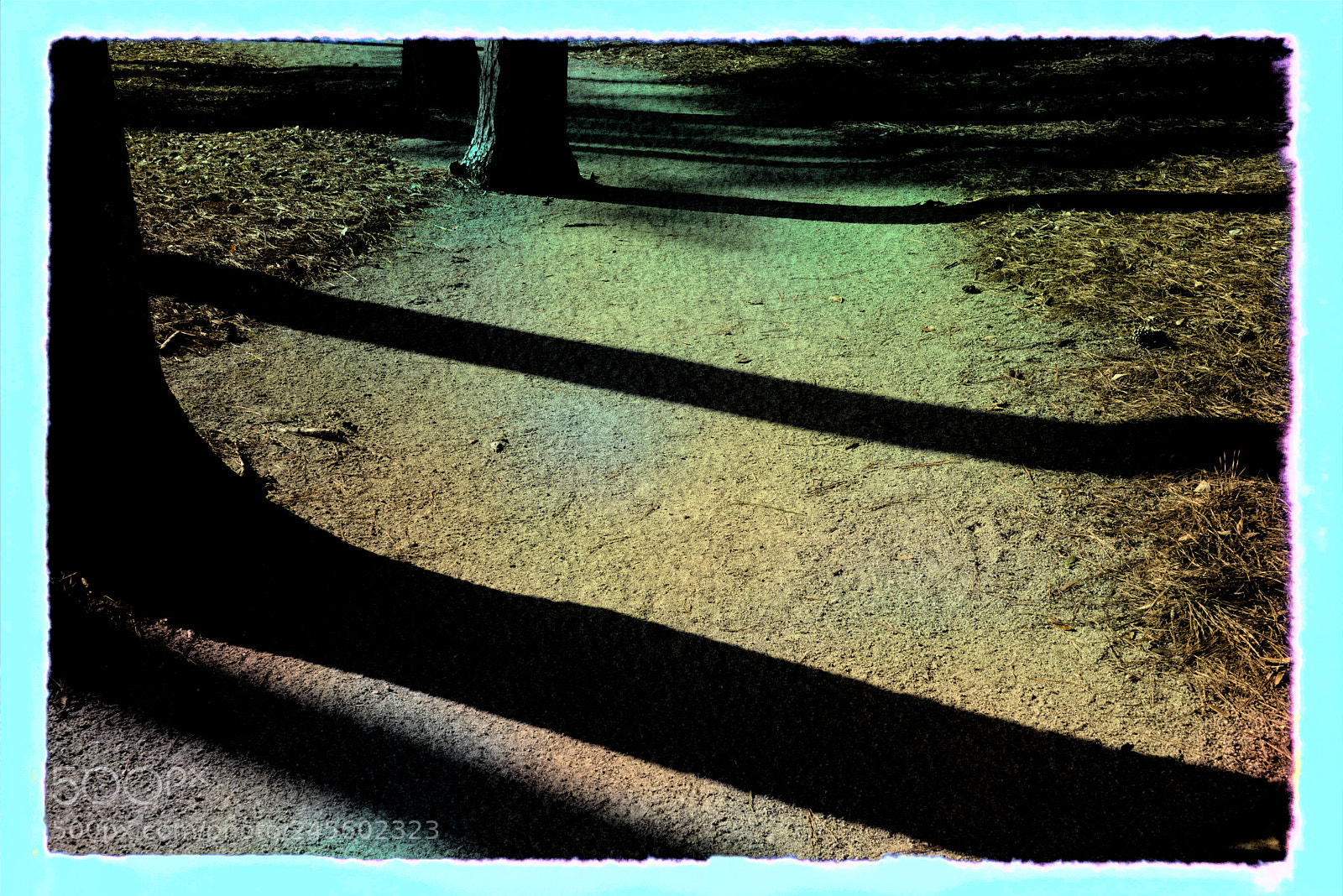 Nikon D610 sample photo. Shadows no.86 photography