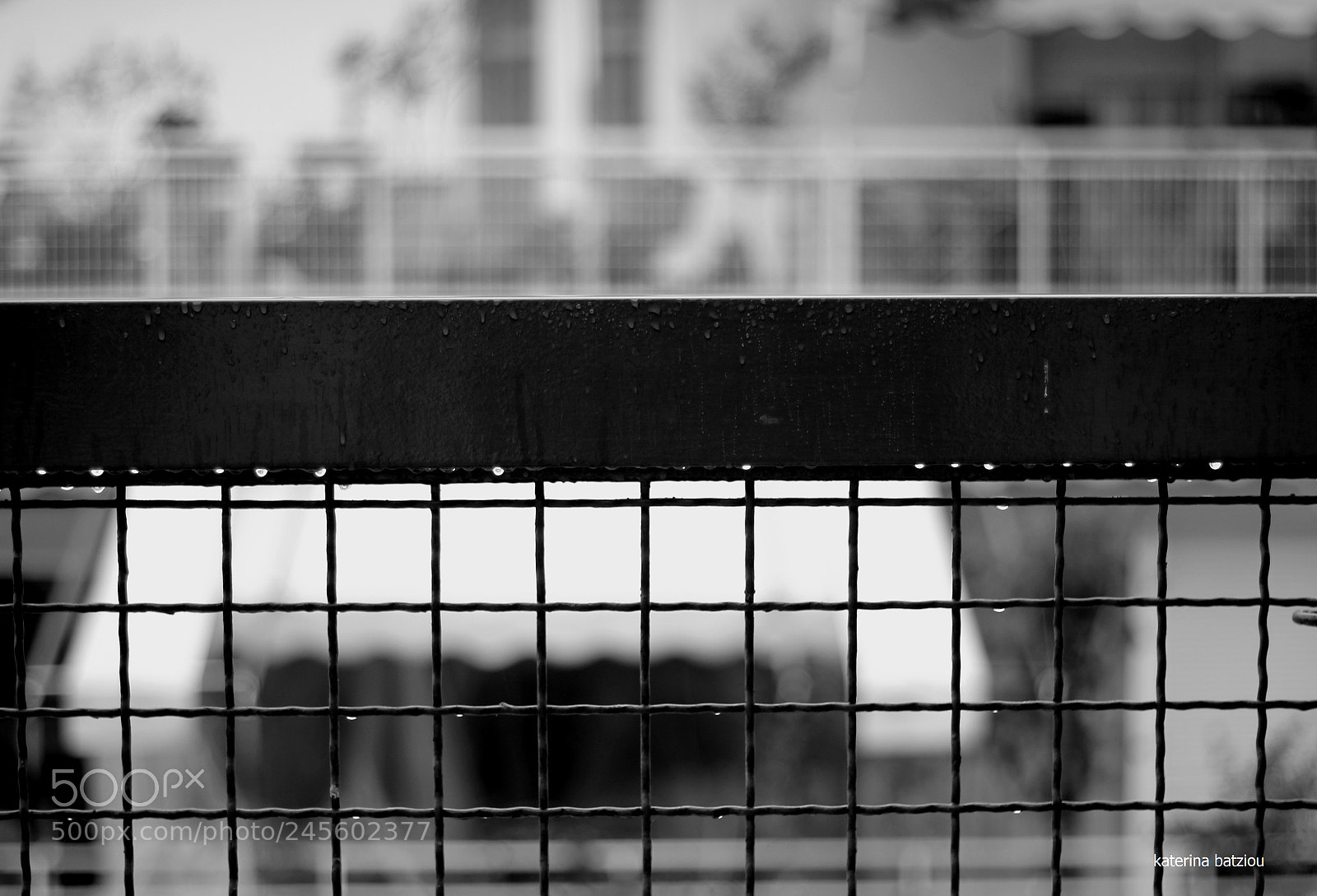 Canon EOS 550D (EOS Rebel T2i / EOS Kiss X4) sample photo. Des larmes en vert photography