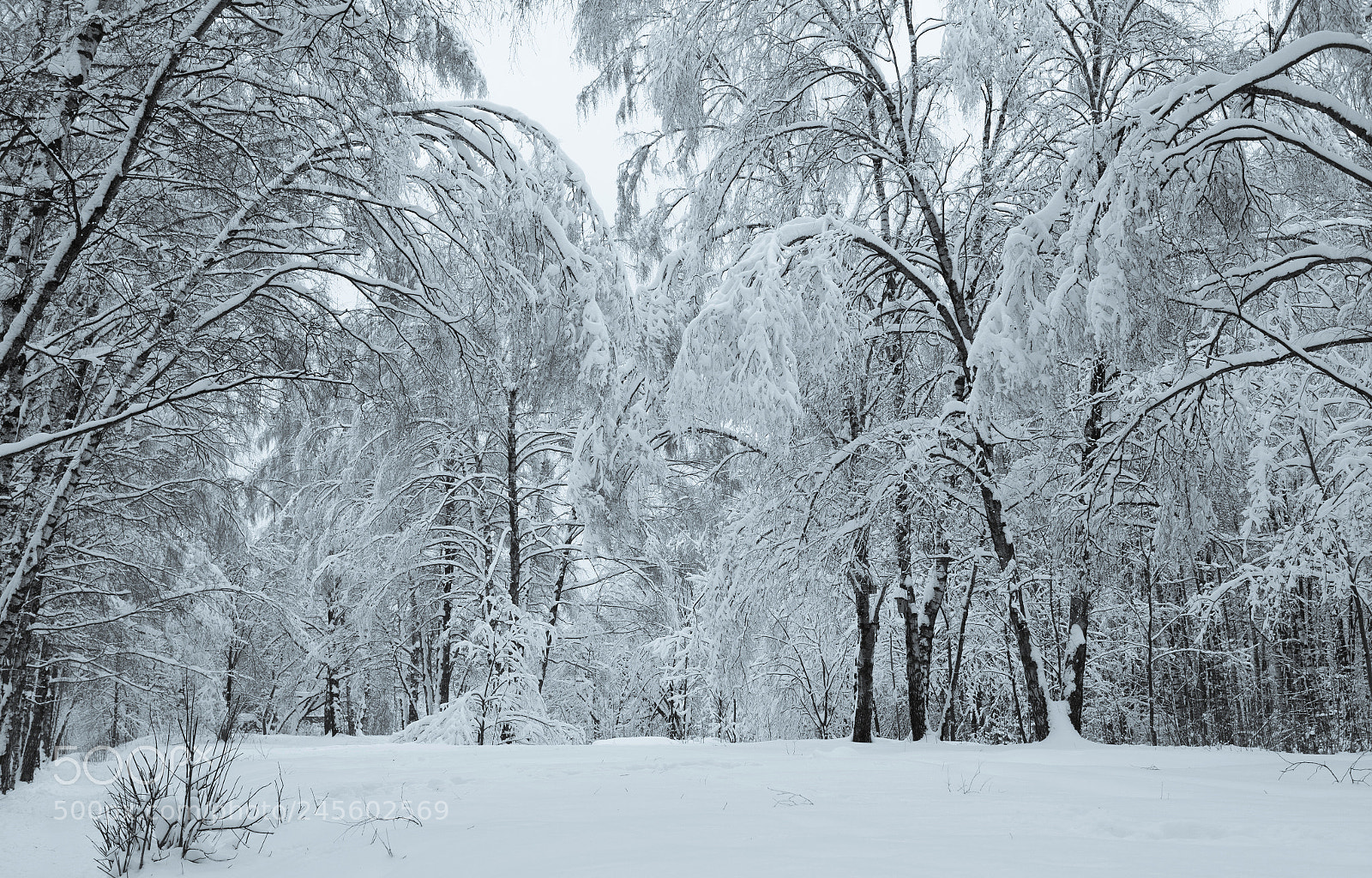 Samsung NX3000 sample photo. Snow ii photography