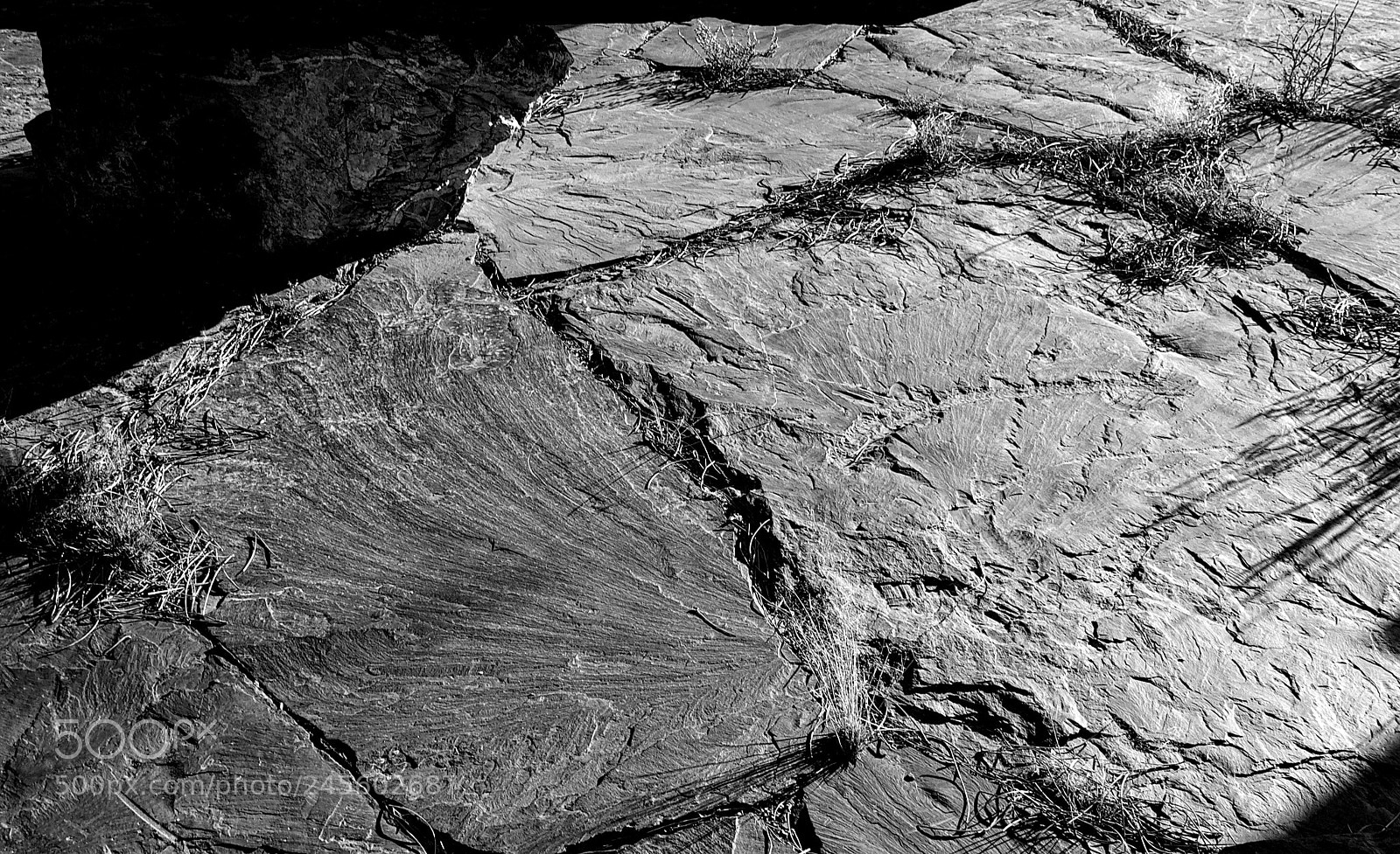 Panasonic Lumix DMC-G1 sample photo. Shale floor photography