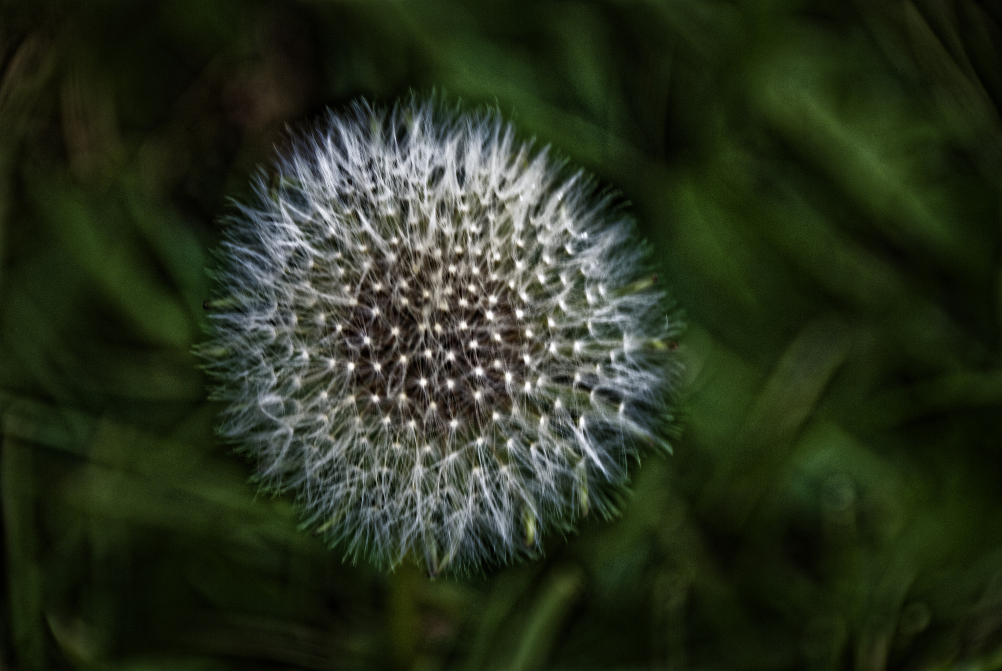 Nikon D80 sample photo. Nikon corporation photography