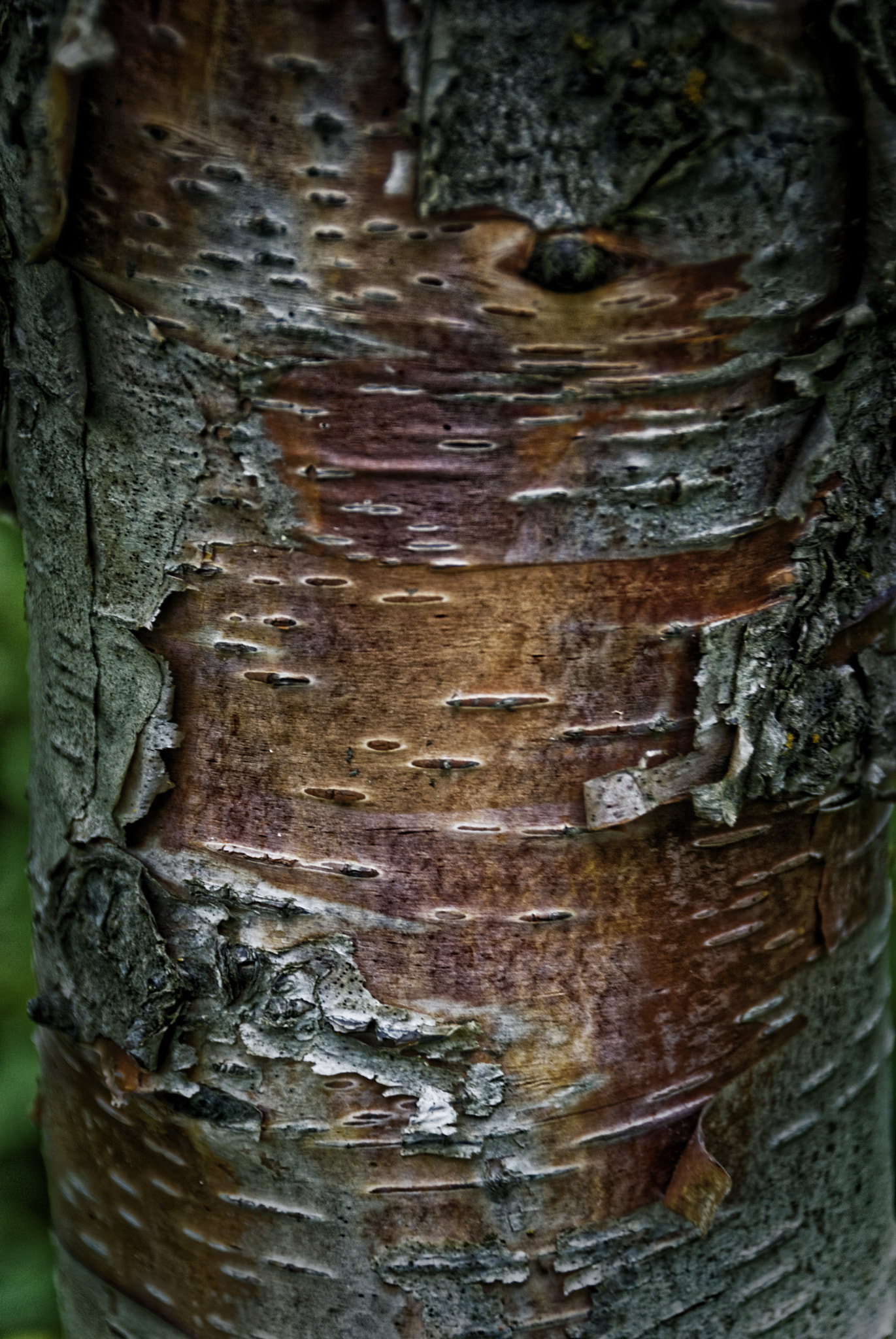 Nikon D80 sample photo. Nikon corporation photography
