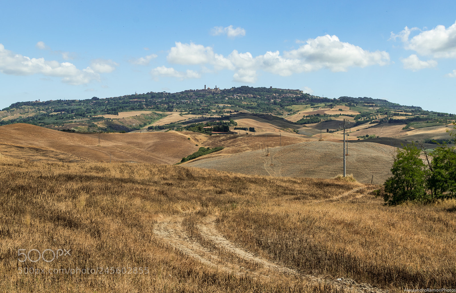 Nikon D5500 sample photo. The road to volterra photography