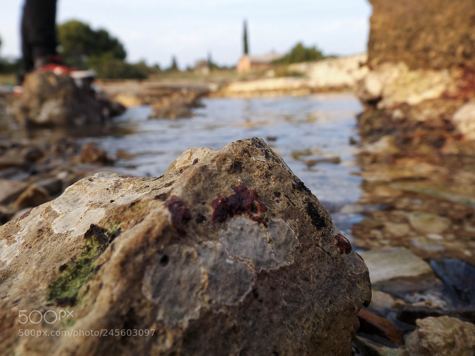 Fujifilm FinePix S4800 sample photo. Tiny rock photography