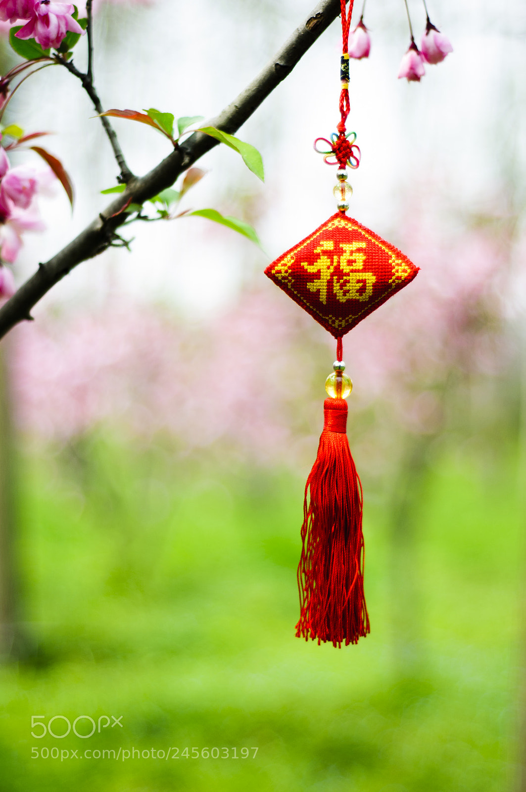 Nikon D90 sample photo. Chinese knot for blessing photography