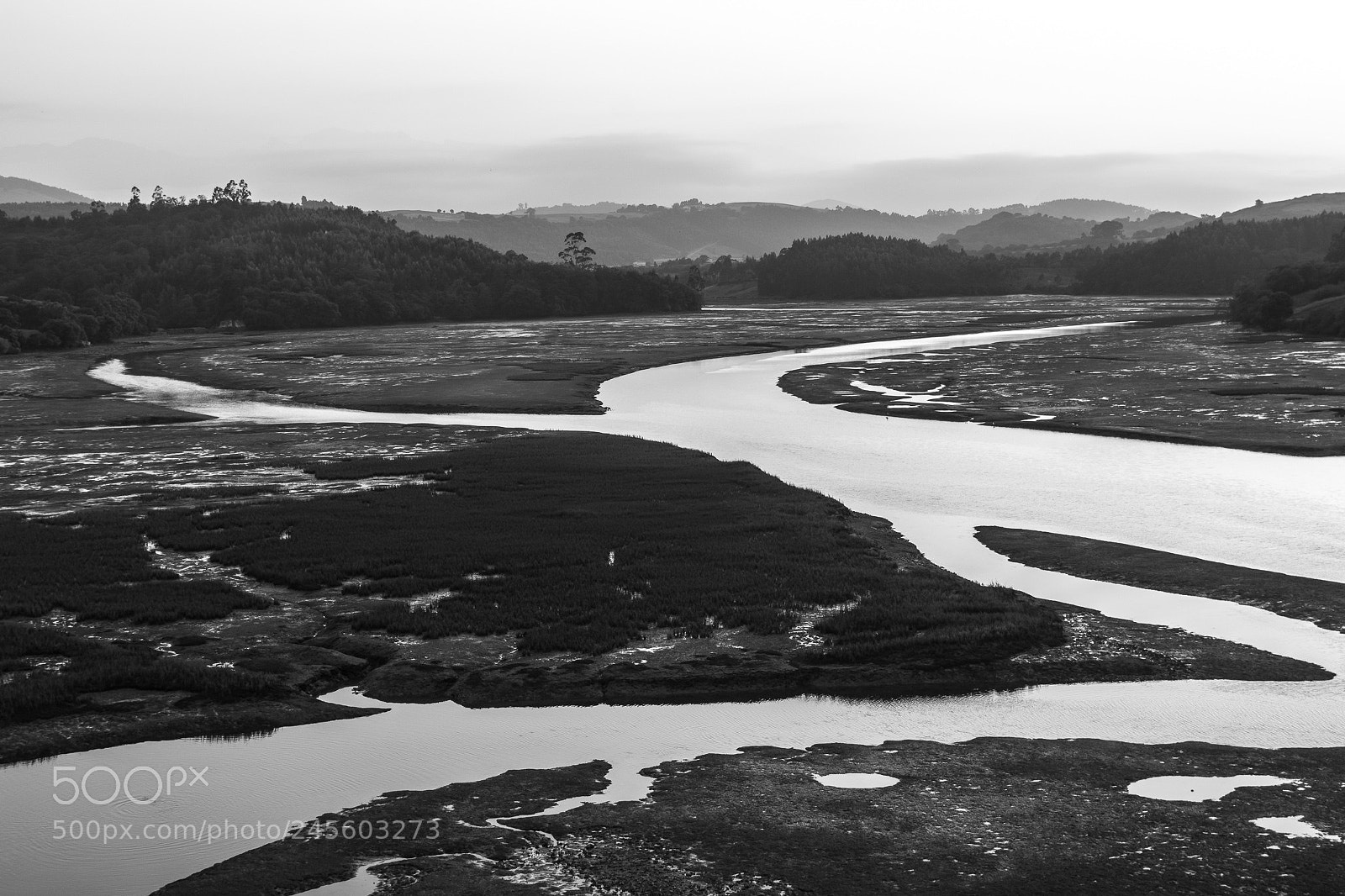 Nikon D5200 sample photo. Oyambre san vicente de photography
