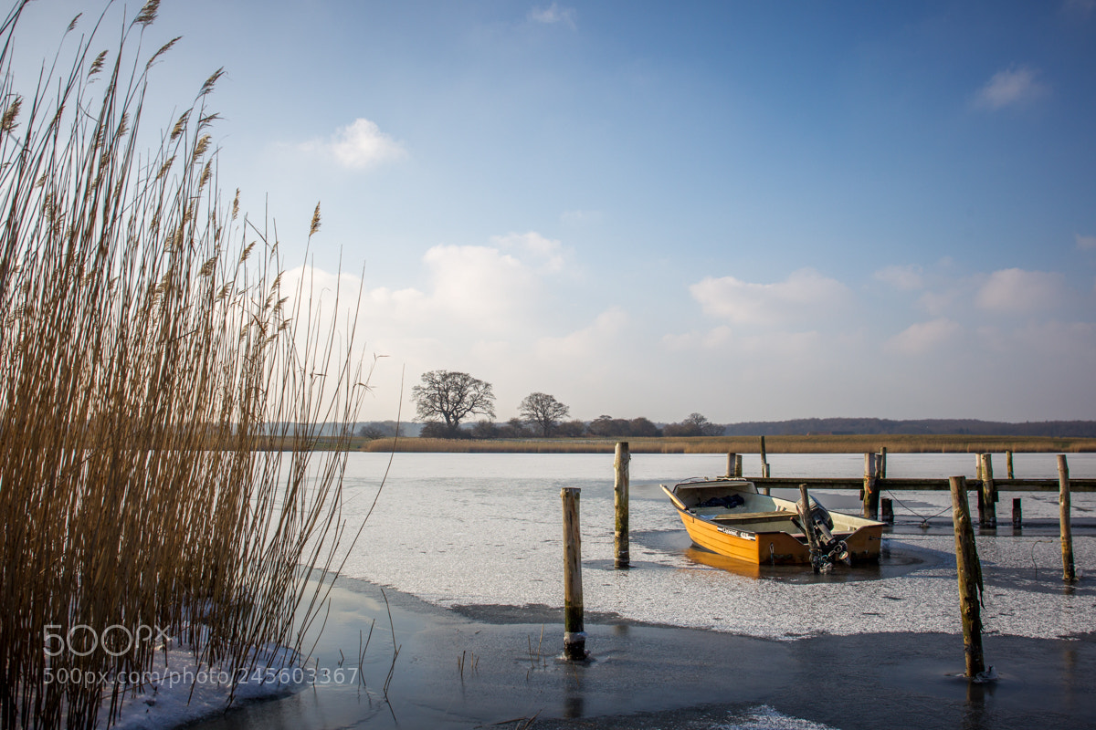 Canon EOS-1D Mark IV sample photo. Frozen ii photography